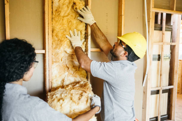 Best Insulation Repair Services  in Mahopac, NY