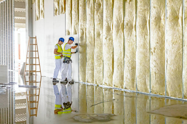 Best Attic Insulation Installation  in Mahopac, NY